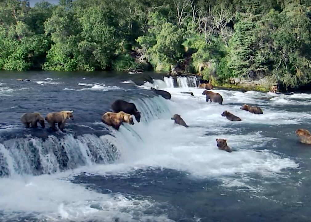 #14. Nature's Most Amazing Events (2009)